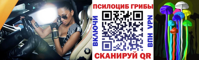 Псилоцибиновые грибы Psilocybine cubensis  Нарткала 